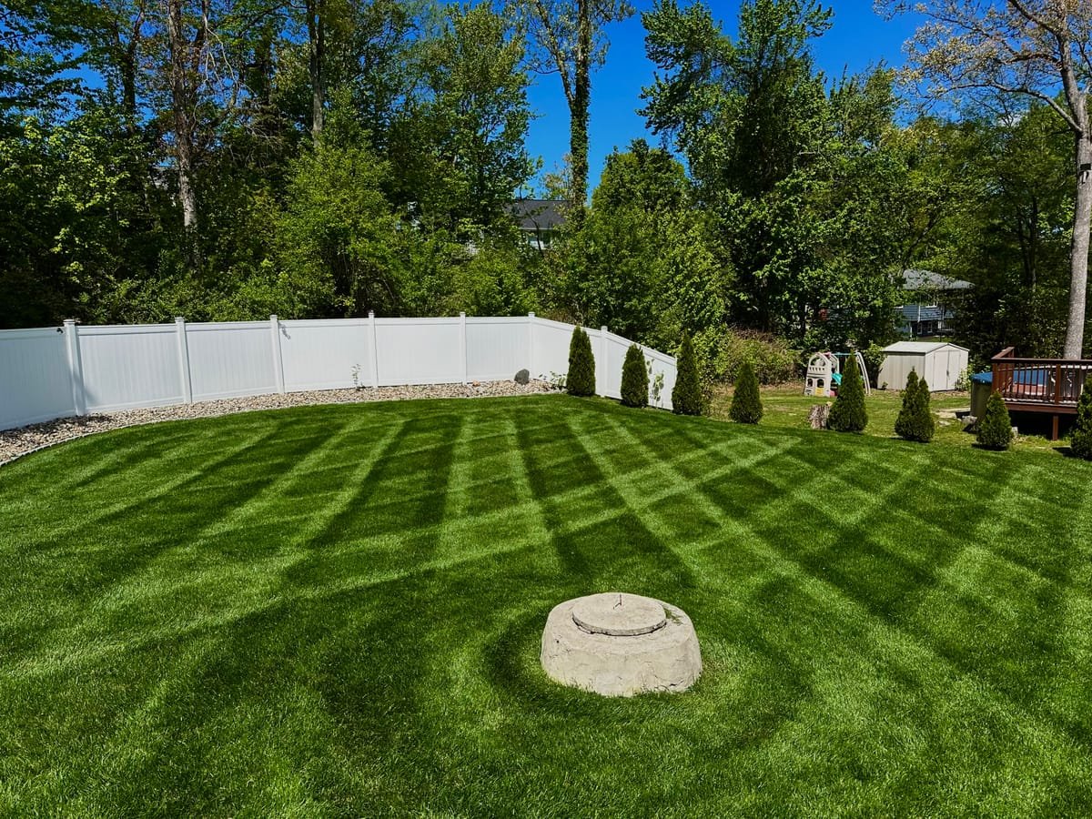 Freshly mowed backyard in Bristol, CT with a crisp checkerboard stripe pattern